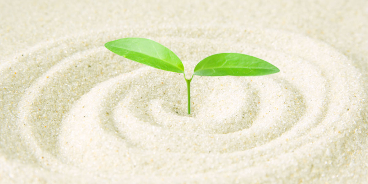 障害者 障がい者 支援